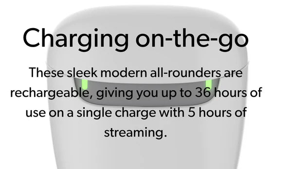 Signia Portable Charger for Pure Charge&Go IX & AX devices with Charging Cable